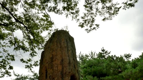 Being beautiful of old one: Stockbeeldmateriaal 80150649