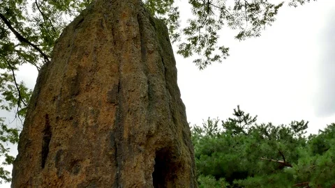 Being beautiful of old one: Stockbeeldmateriaal 80150651