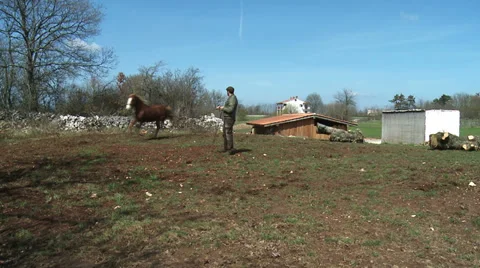 Being run horses 1 Stock-Footage 31193936