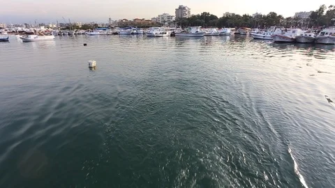 Beirut Habour Stock Footage 95494515