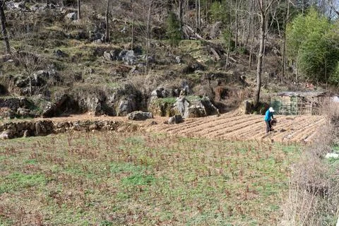 Beiyang Mountains Stock Photos