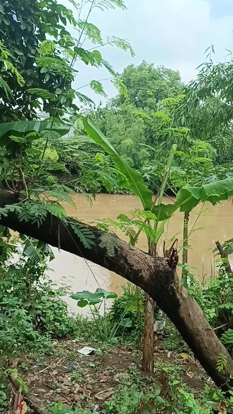 Bekasi River Stock Footage 260477889
