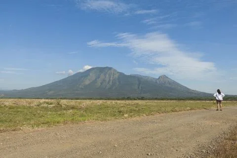 Bekol Savana Stock Photos
