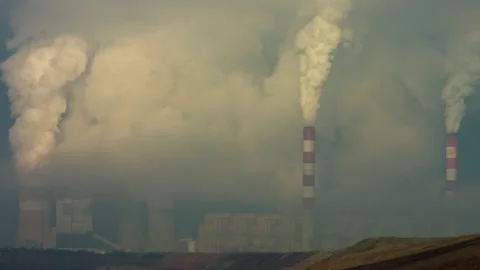 BEL Stock Footage 165553997