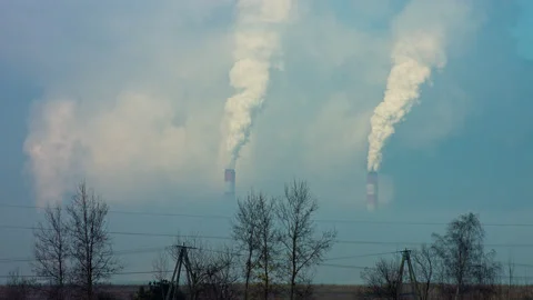 BEL Stock Footage 165555116