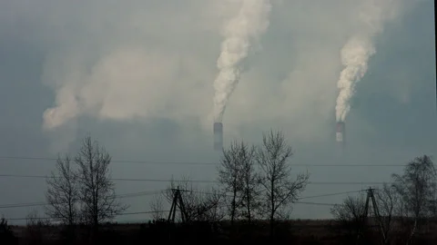 BEL Stock Footage 165555499