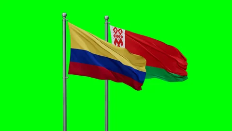 Belarus and Colombia flags Stock Footage 290033822