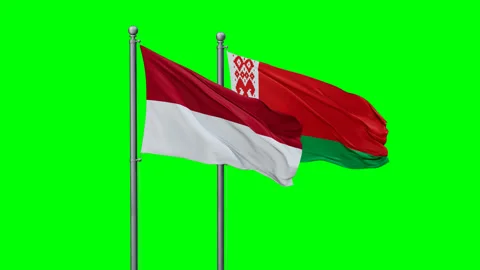 Belarus and Indonesia flags Stock Footage 289642306