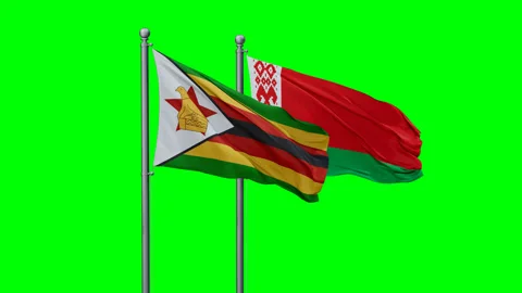 Belarus and Zimbabwe flags Stock Footage 293216838