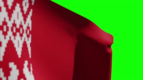 Belarus Flag Close Видео 133539904