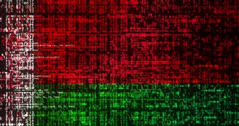 Belarus flag digital code Stock Footage 331851095