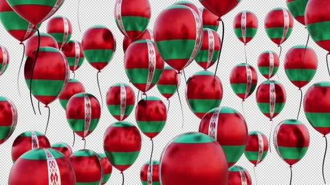 Belarus Flag On The Flying Balloons Stock Footage 314651094