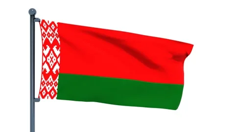 Belarus Flag Stock Footage 150195869