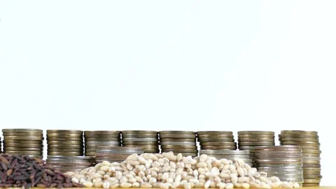 Belarus flag with stack of money coins and piles of wheat and rice seeds Stock Footage 71138703