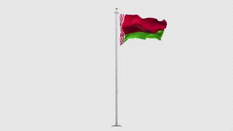 Belarus flag waving 360-degree rotation looping Vídeo Stock 310481489