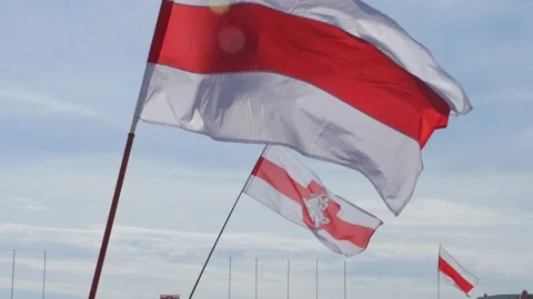 Belarus flag, white red white 6 Stock Footage 137666726