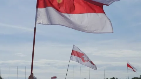 Belarus flag, white red white 5 Stock Footage 137666747