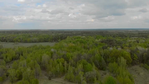 Belarus forests and fields aerial photography Video stock 108361247