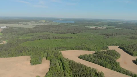 Belarus forests and fields aerial photography Vidéo 108363850