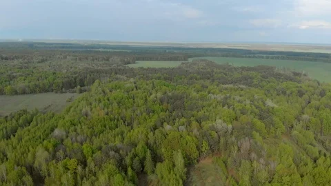 Belarus forests and fields aerial photography 스톡 동영상 108365283