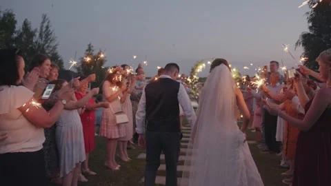 Belarus. Gomel region. August 21, 2021: Happy bride and groom are kissing Stock Footage