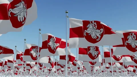 Belarus. Many white red white flags. Freedom. Stock Footage 138596154