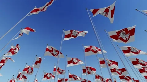 Belarus. Many white red white flag. Freedom. Three dimensional rendering animati Stock Footage 138596191