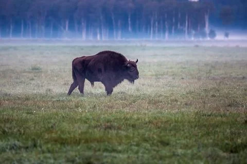 Belarus north trip Stock Photos
