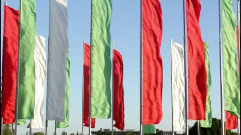 Belarus.Flags fluttering in the wind in the rays of the sun against the blue sky Stock Footage 101433330