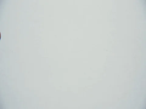 Belarusian coins fall to the side Stock-Footage 73870918