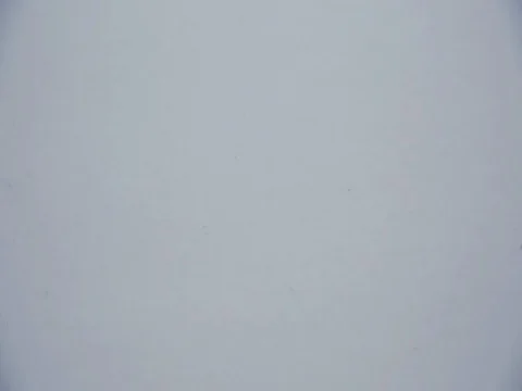 Belarusian coins fall to the side Stock Footage 73871236