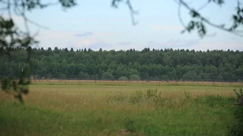 BELARUSIAN LANDSCAPE 2 Stock Footage 158124759