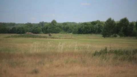 BELARUSIAN LANDSCAPE Stock Footage 158124842