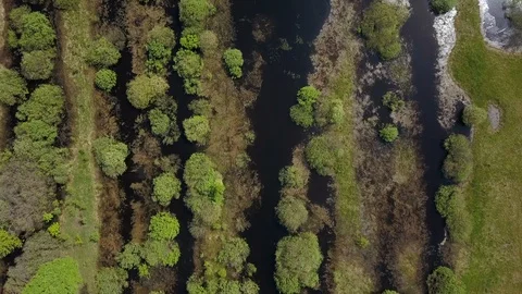 Belarusian nature Video stock 94967482