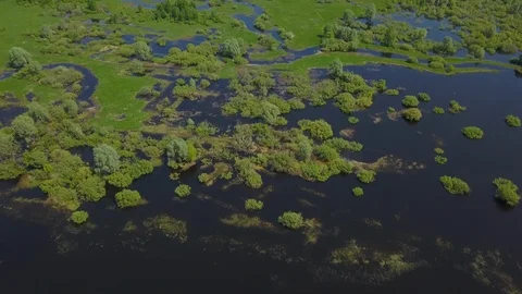 Belarusian nature Video stock 94967495