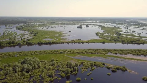 Belarusian nature, river Video stock 94967668