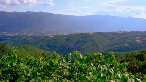 Belasitsa Mountain Stock Footage 161381455