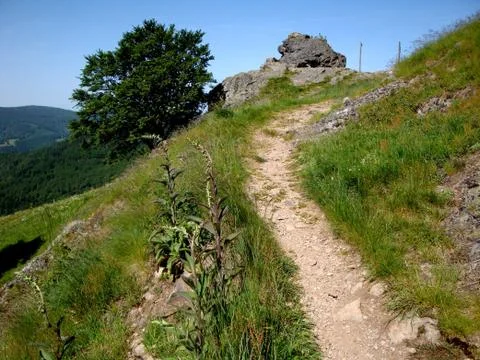 Belchen3 Stock Photos