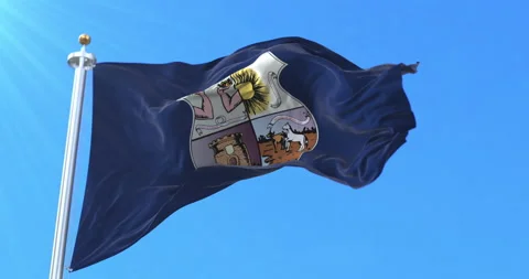 Belem flag, Para, Brazil. Loop Stockbeeldmateriaal 156594365