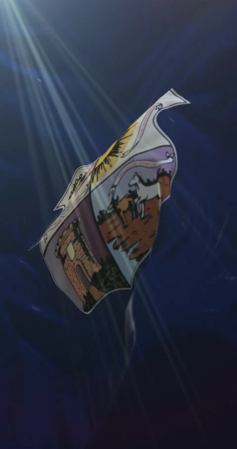 Belem flag, Para, Brazil. Loop. 4K Vertical Stock Footage 309521079