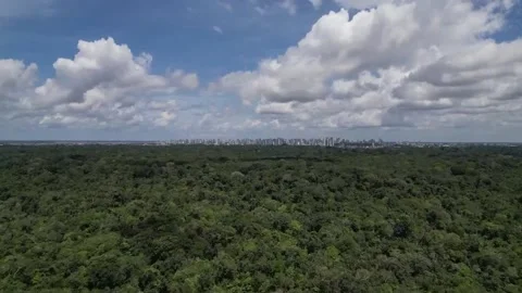 Belém seeks a difficult balance between development and conservation to showcase 動画素材 308210713