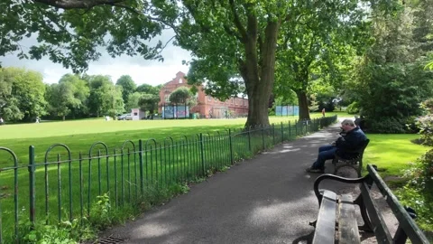Belfast Botanic Gardens - Man Sitting on Bench in Public Park Stock Footage 338221791