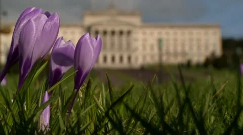 Belfast Stormont Parliament Focus pull Stockbeeldmateriaal 10902420