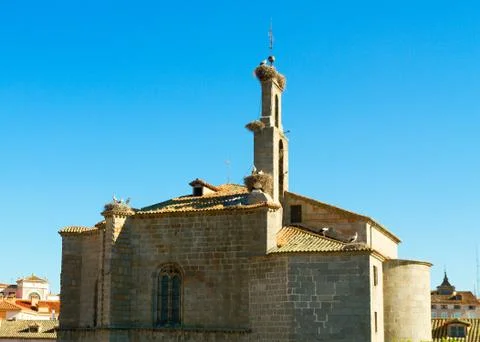 Belfry with storks Stock Photos