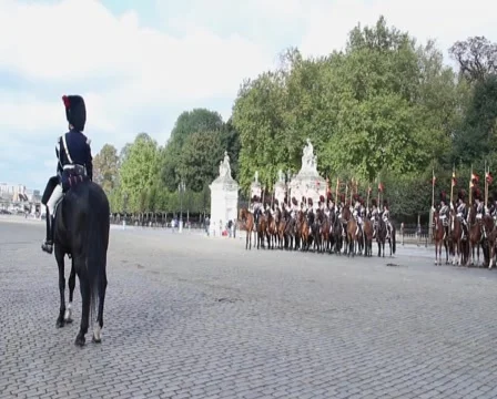 Belgian cavalry guards on Royal parade in uniforms on horses, click for HD Stock Footage 43911146