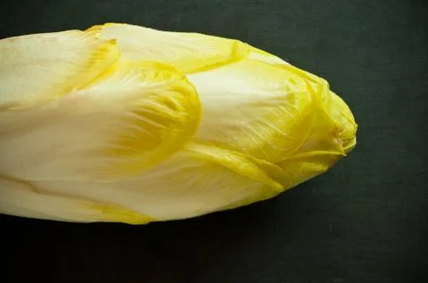 Belgian endive Stock Photos