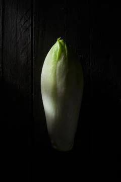 Belgian Endive Stock Photos