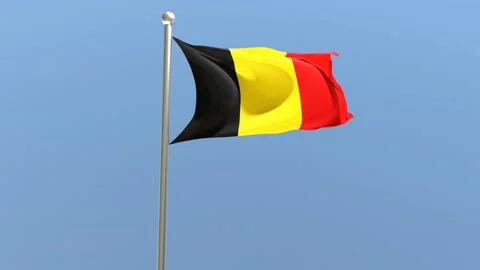 Belgian flag on flagpole. Belgium flag fluttering in the wind.	 Stock Footage 168476590