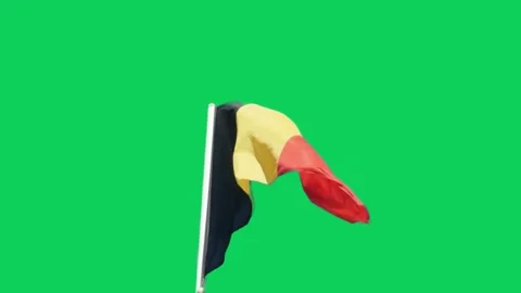 The Belgian flag flies in the steadily of the wind. Stock Footage 297129190