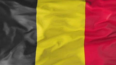 Belgian Flag Fluttering in the Wind. Animation 3d Stock-Footage 202050061